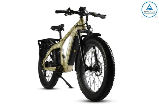Cheetah hunting | ebike