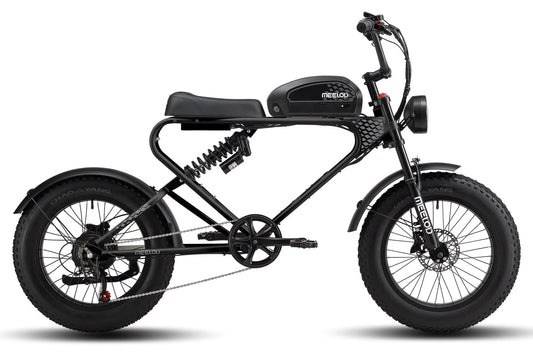 Meelod dk300 plus | 1200w motor, 50-100 miles range