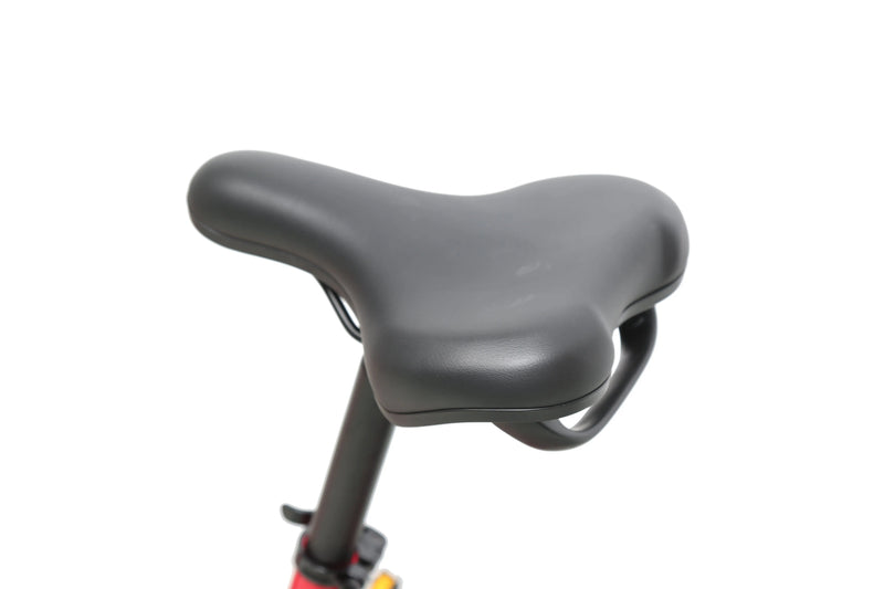 ACE Utility Cruiser eBike ejoebike