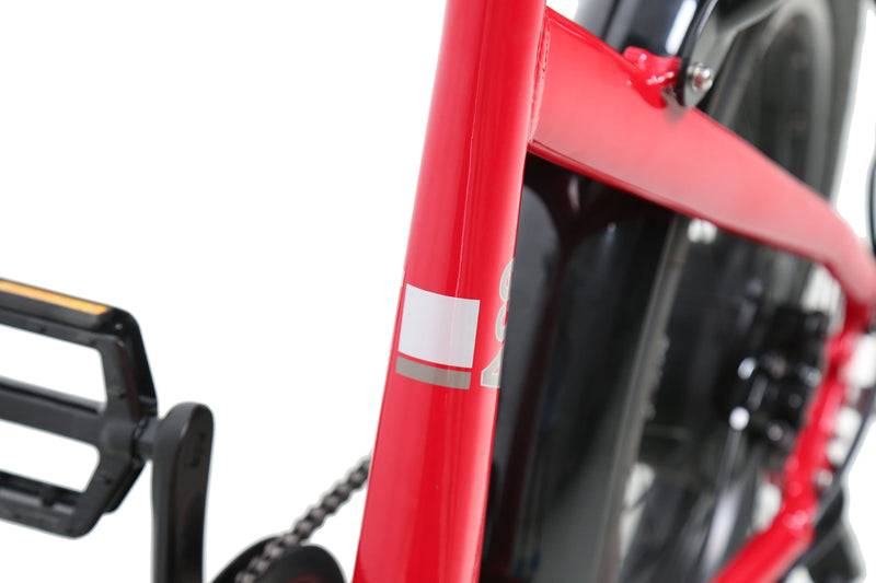 ACE Utility Cruiser eBike ejoebike