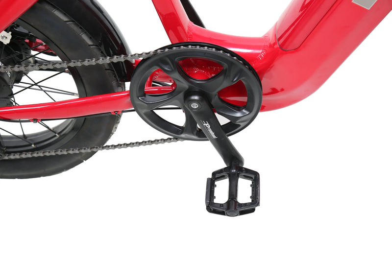 ACE Utility Cruiser eBike ejoebike