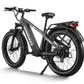 D5(Zebra) / All-terrain Electric Fat Bike 
