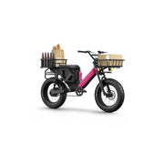 HOMECARGO KIT Package I | PawkyMo 
