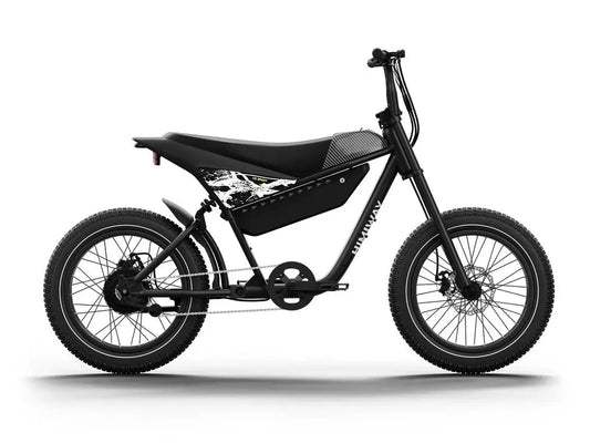 C5 / Electric Motorbike  