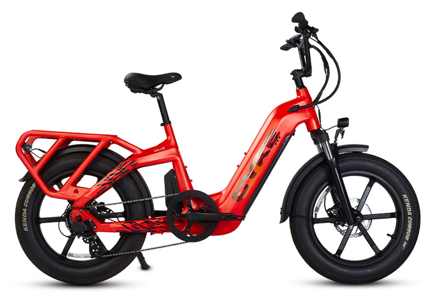 COLLIE CARGO EBIKE (open box)