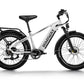 D5(Zebra) / All-terrain Electric Fat Bike 