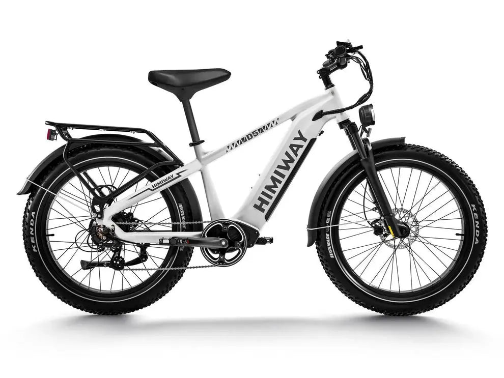 D5(Zebra) / All-terrain Electric Fat Bike 