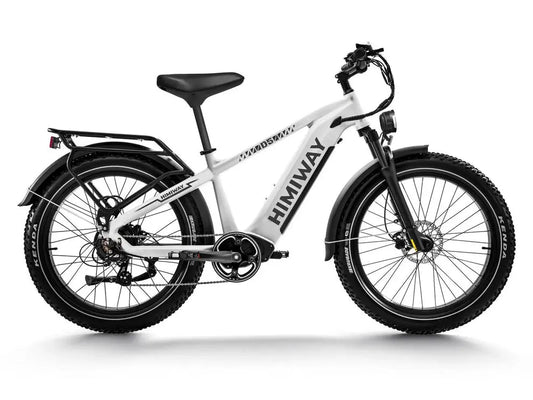 D5(Zebra) / All-terrain Electric Fat Bike  