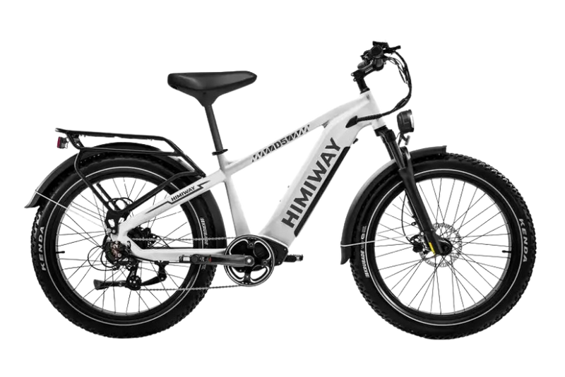 D5(Zebra) / All-terrain Electric Fat Bike
