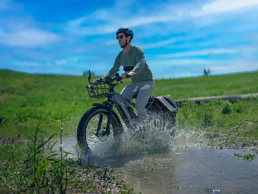 D5(Zebra) / All-terrain Electric Fat Bike 