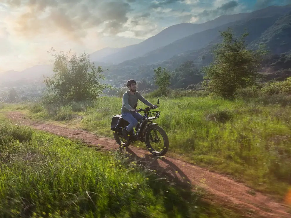 D5(Zebra) / All-terrain Electric Fat Bike 