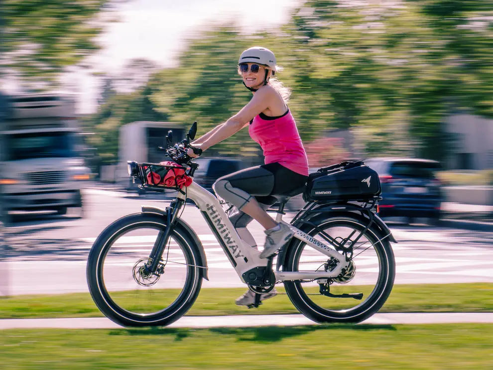 D5(Zebra) / All-terrain Electric Fat Bike 