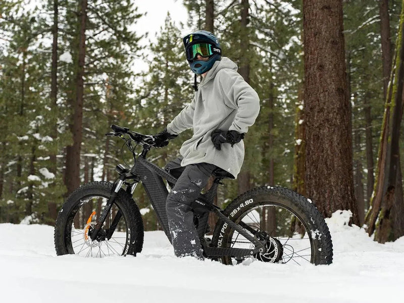 D7 | Full Suspension Electric Hunting Bike 