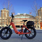 Young Electric E-Flow 750W Folding eBike (Open Box)