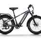 D5(Zebra) / All-terrain Electric Fat Bike 
