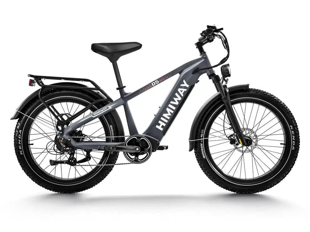 D5(Zebra) / All-terrain Electric Fat Bike 