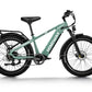 D5(Zebra) / All-terrain Electric Fat Bike 