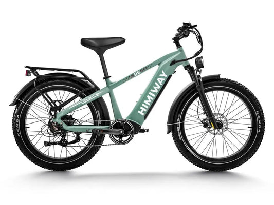 D5(zebra) / all-terrain electric fat bike