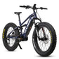 FALCON X FULL SUSPENSION EBIKE (open box) FALCON SERIES