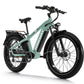 D5(Zebra) / All-terrain Electric Fat Bike 
