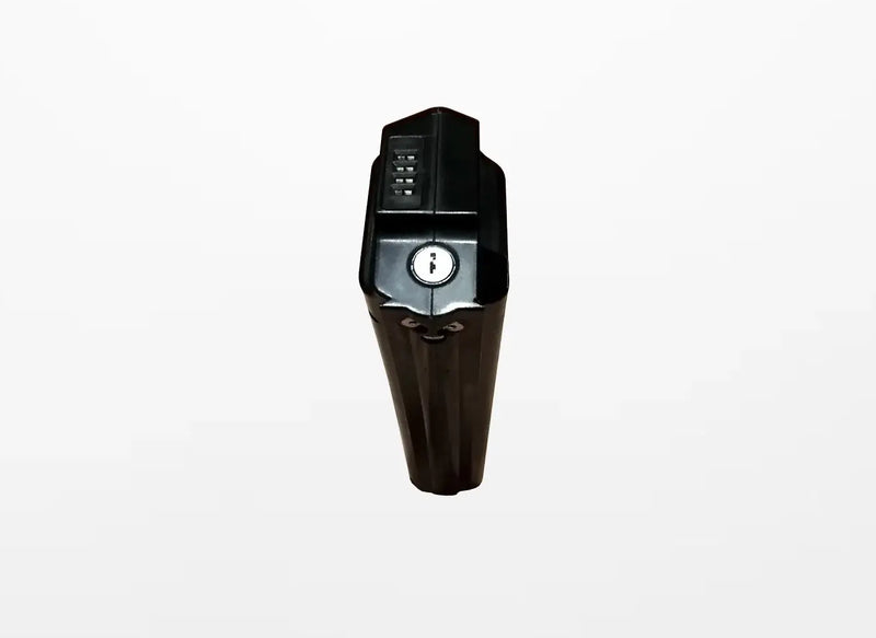 EPIK Carbon Battery 48V ejoebike